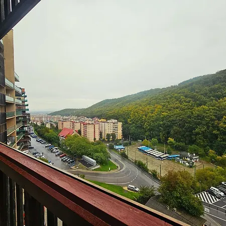 Meadow Apartment