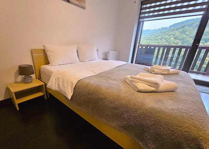 Apartment Meadow Brasov